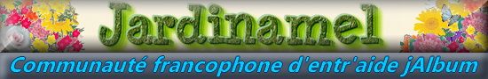Forum Jeffdulac logo
