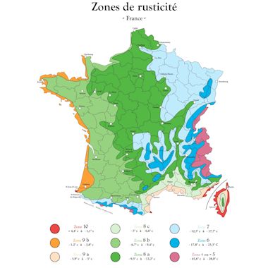 zones climat big