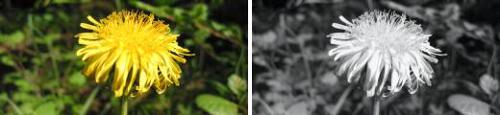 BeforeAfter.jpg