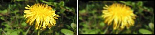 BeforeAfter10.jpg