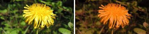 BeforeAfter2.jpg