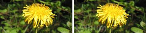 BeforeAfter6.jpg