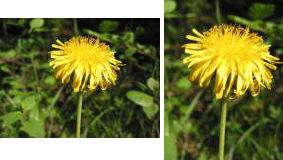 BeforeAfter8.jpg