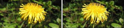 BeforeAfter9.jpg
