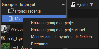 ProjectGroupContextualMenu.png